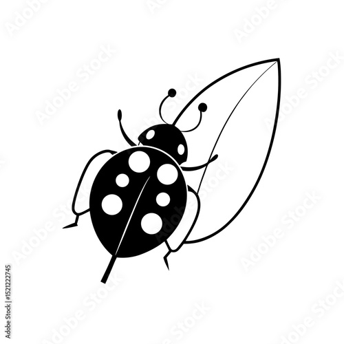 ladybug on leaf on white background  .svg