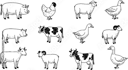Farm animals like pork, hen, cow, sheep, goat and goose hand drawn vector outline icons.
