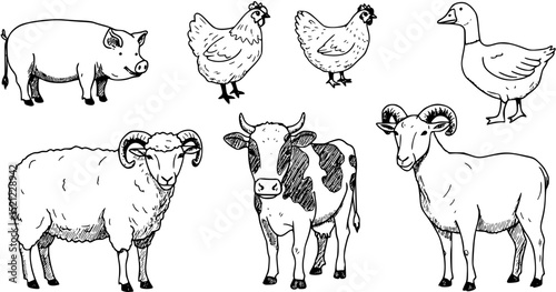 Farm animals like pork, hen, cow, sheep, goat and goose hand drawn vector outline icons.
