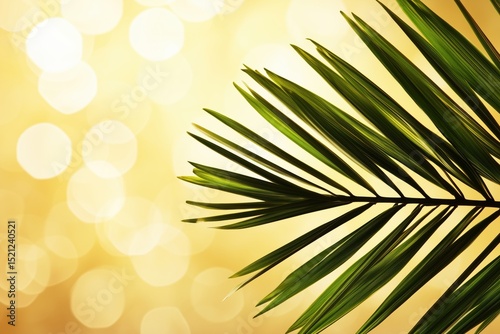 A close-up of a green palm leaf with a soft golden bokeh background.