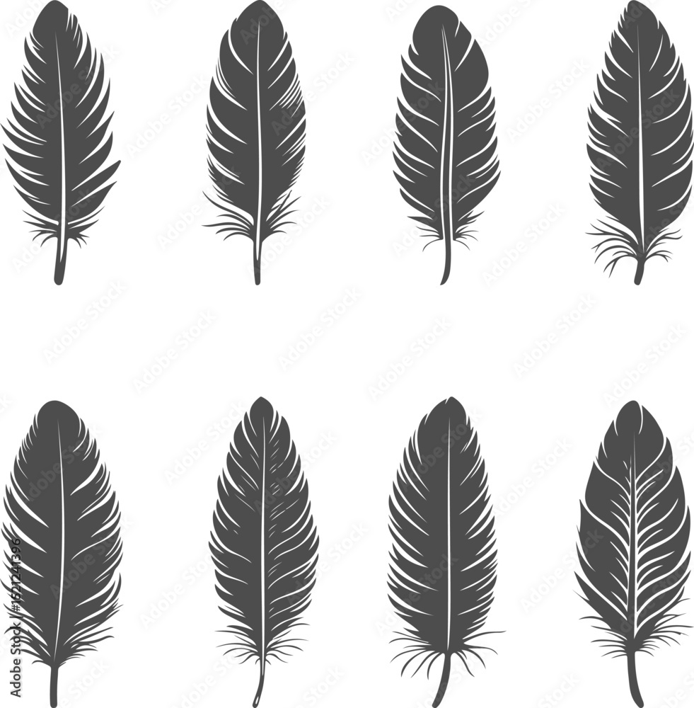 Set illustrations of feather isolated on transparent background. Vector graphics Set illustrations of feather isolated on transparent background. Vector graphics