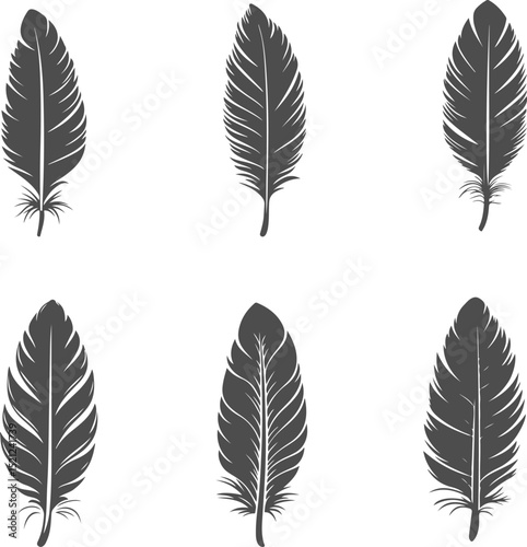 Set illustrations of quill isolated on transparent background. Vector graphics