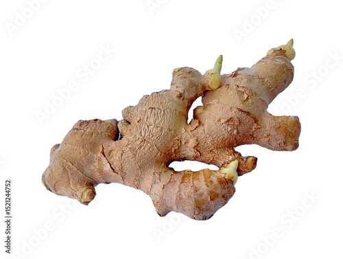ginger root isolated on white background