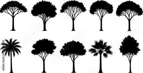silhouette tree line drawing set, Side view, set of graphics trees elements outline symbol for architecture and landscape design drawing. Vector illustration in stroke fill in white. Tropical