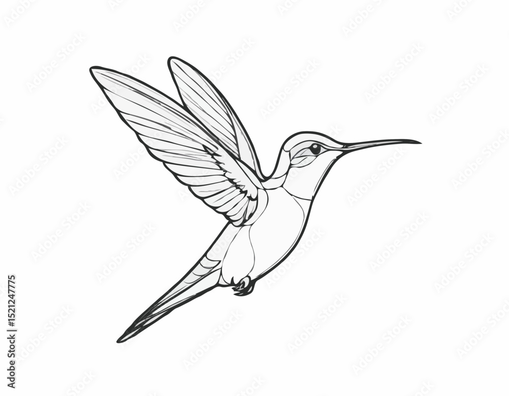 Fototapeta premium Playful Hummingbird Line Art Sketch Capturing Vibrant Elegance