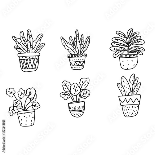 Set of black and white hand-drawn potted plants with unique patterns and foliage. Great for botanical coloring pages, home decor, or minimalist design projects