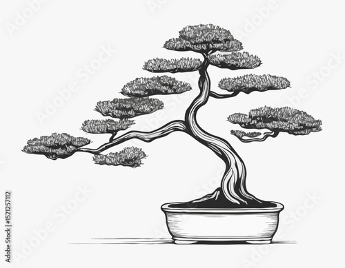 Detailed Line Art of a Bonsai Tree