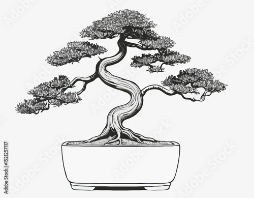Detailed Line Art of a Bonsai Tree