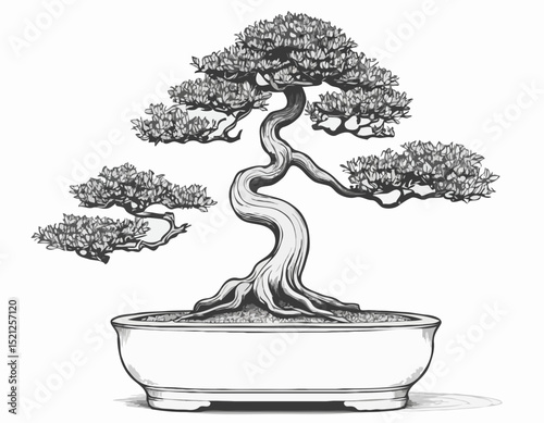 Detailed Line Art of a Bonsai Tree