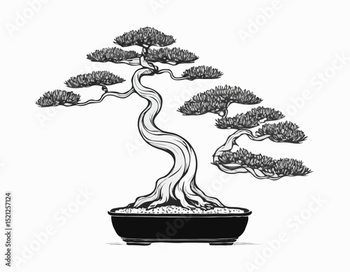 Detailed Line Art of a Bonsai Tree