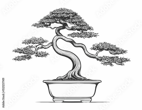 Detailed Line Art of a Bonsai Tree