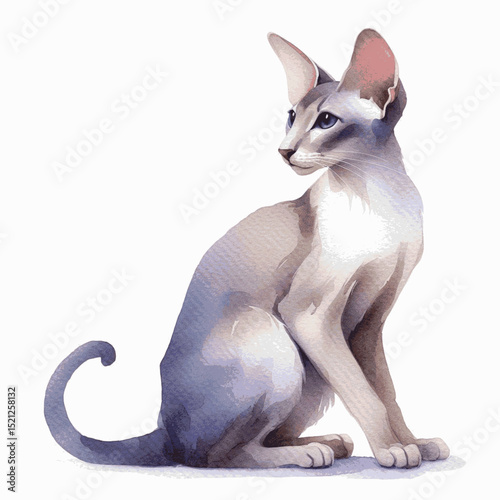 Sleek Shadow Glide Cat Oriental Shorthair isolated watercolor vector illustration svg