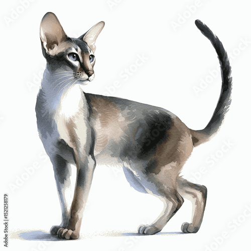 Almond-Eyed Muse Cat Oriental Shorthair isolated watercolor vector illustration svg