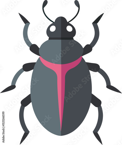 black beetle isolated on white