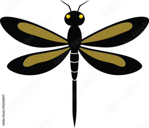 dragonfly isolated on white
