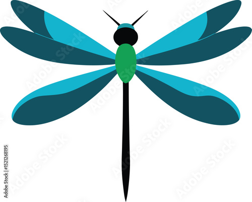 dragonfly on a white background