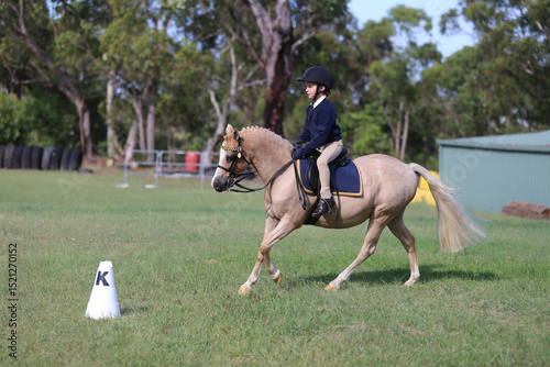 Young equestrian rider on a light-coloured horse