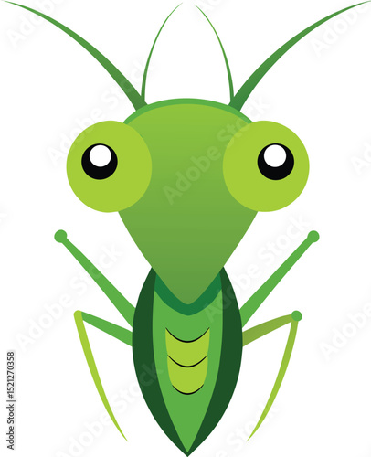 vector illustration of a green grasshopper