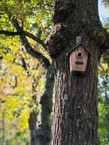 A small birdhouse. The arrival of autumn, yellow leaves.