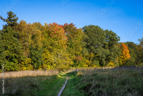 Bronte Creek Provincial Park Lookout Ravine Trail during the autumn, Ontario, Canada