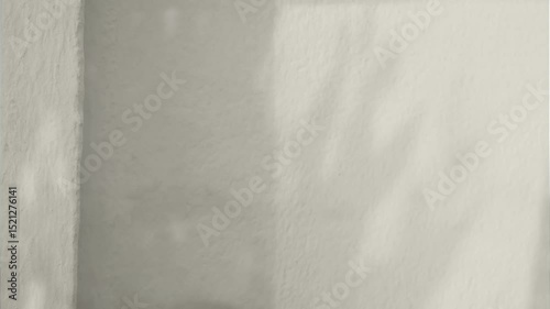 Shadow beige background wall light white overlay abstract plant 4k backdrop mockup minimal summer wallpaper, blur nature spring autumn video vintage branching floral, card holidays summer spring.