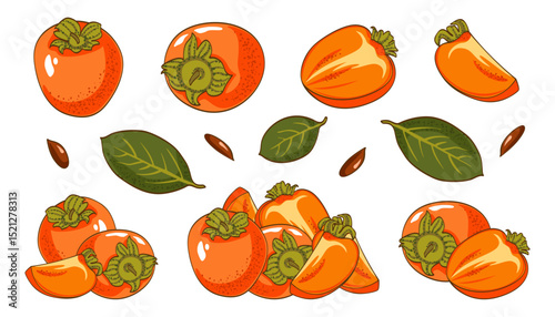 Set of cartoon persimmon, single fresh whole and half and sliced fruit, composition or still life isolated on white. Bright orange color. Vector clipart illustration for graphic design and print.