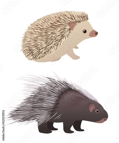 Hedgehog and porcupine come in vector form. A collection of adorable illustrations for your designs.