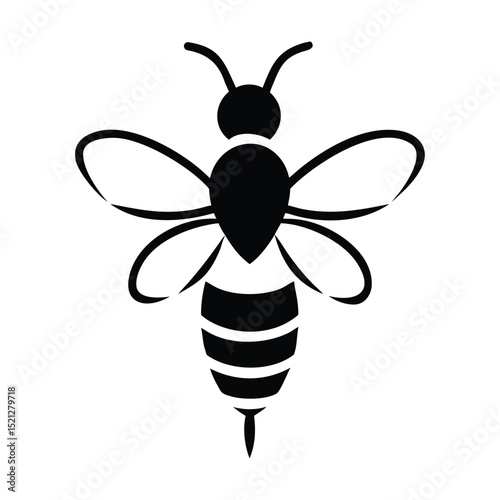 Bee vector illustration  Premium Vector