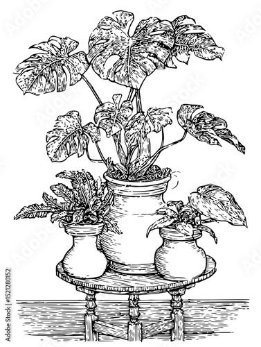 Black and white linocut vector illustration of monstera, philodendron, and calathea in ceramic pots on a wooden stand. Perfect for home decor, botanical prints, and plant-themed designs.