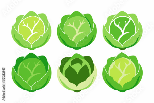 Collection of Stylized Green Cabbage Heads Six stylized images cabbages various shades green arranged grid cabbage vegetables food green healthy fresh illustration design icon logo