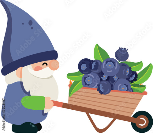 Cheerful Gnome Hauling Fresh Blueberries