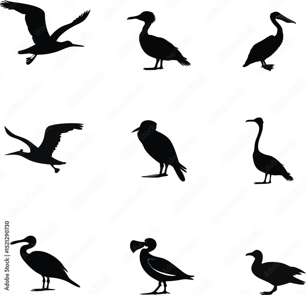 Obraz premium Elegant Bird Silhouettes Perfect for Logo Design Branding and Nature Themes