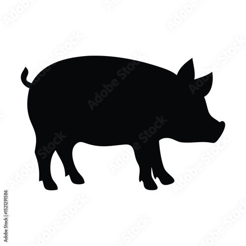 Vector illustration of a pig on a white background. Pig silhouette on a white background. Vector illustration.