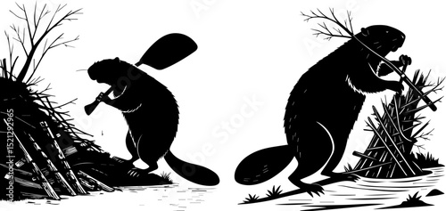 Beaver Dam Construction Silhouette - Wildlife Engineering