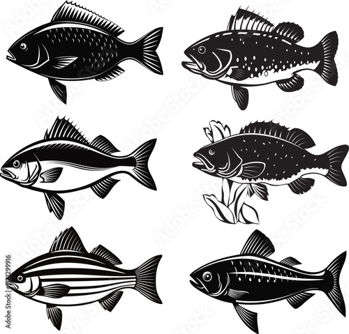 A set of marine fish vector illustrations with sea animal silhouettes
