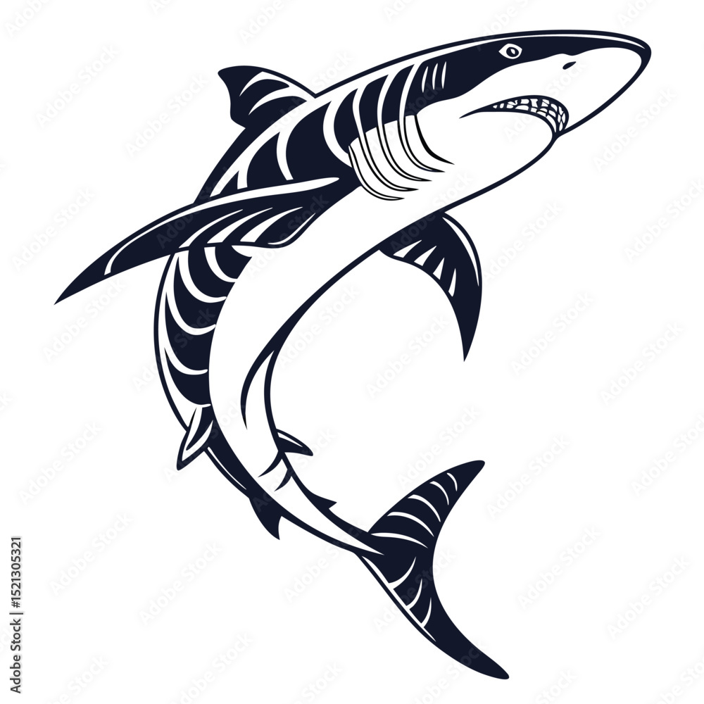 Fototapeta premium shark vector illustration