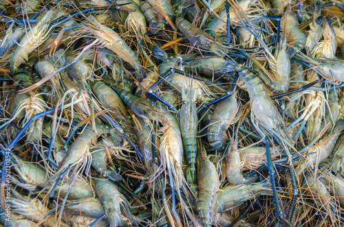 The abundance of prawns in the Bangladeshi market