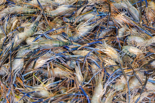 The abundance of prawns in the Bangladeshi market
