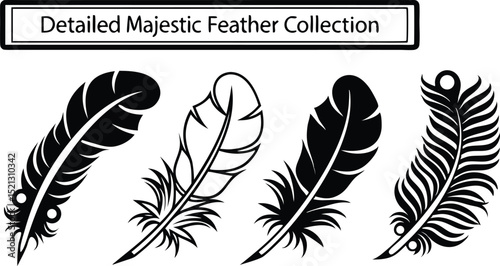 vector set of feathers