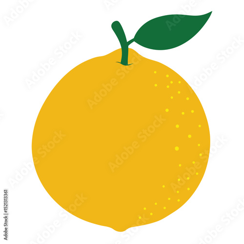 Vibrant Orange Fruit Illustration Vector Graphic for Design Projects, Websites, and More