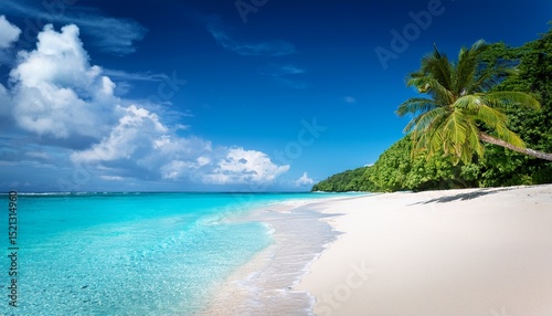 a pristine tropical beach with white sand