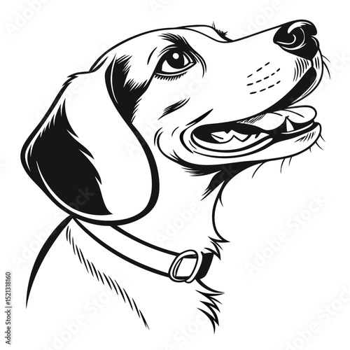 vector illustration of a dog