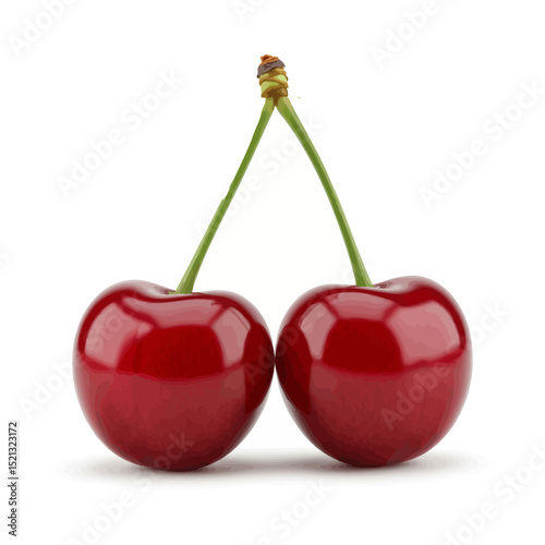 Two Glossy Cherries Isolated 