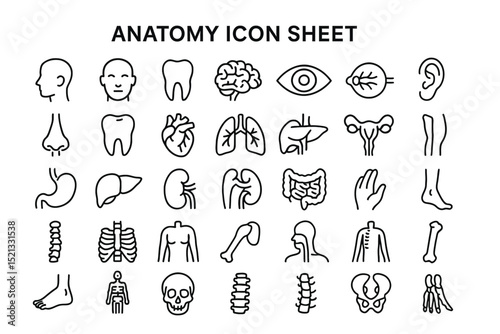 Anatomy Icon Sheet: A comprehensive and detailed icon sheet displaying a variety of anatomical representations, meticulously crafted to cater to scientific and educational requisites.