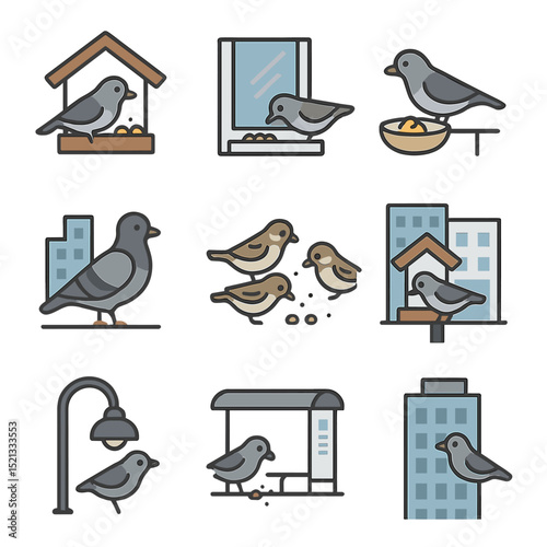 Urban Bird Feeding Icons. Flat icon set of feeding birds in urban settings: rooftop feeder, window-mounted