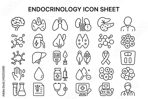 Endocrinology Icon Set: A set of 24 meticulously designed icons representing various aspects of endocrinology, including glands, organs, hormones, and related medical concepts.