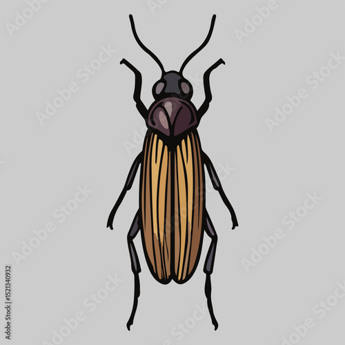 Detailed Illustration of a Beetle