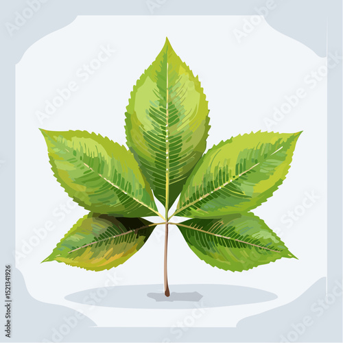 green leaf on a white background
