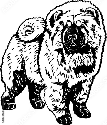 Chow Chow Dog SVG Clipart for Cricut and Silhouette Crafts

