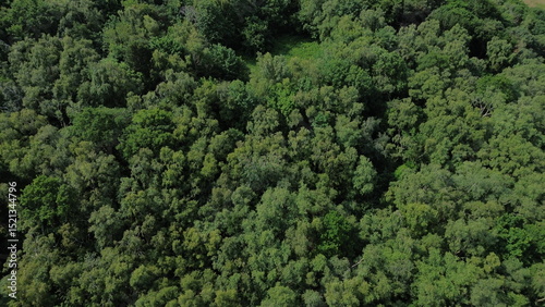 Aerial View of Storton Woods, Birkenhead - Natural Light, and Tranquil Atmosphere – Ideal for forestry photography 